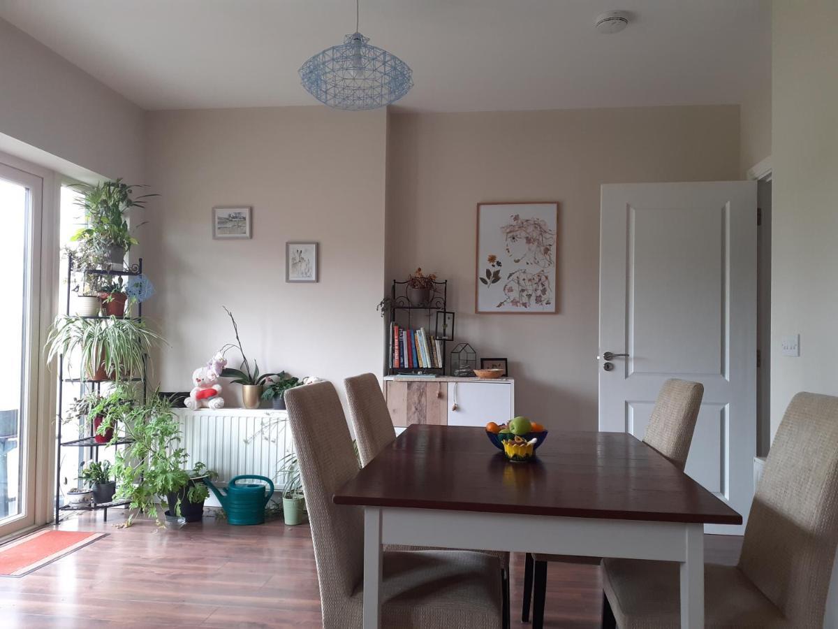 Ensuite At The Foot Of Dublin Mountains Exterior foto